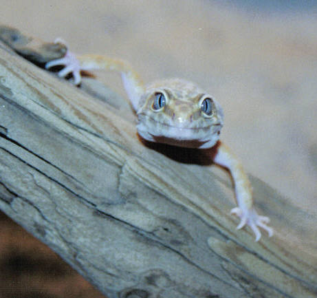 im watching you