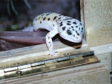 jailbreak!