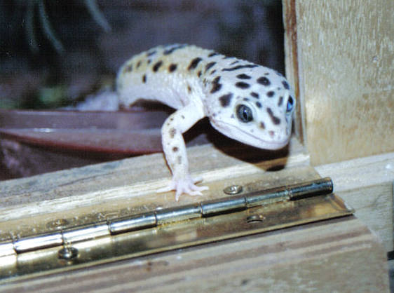 jailbreak!