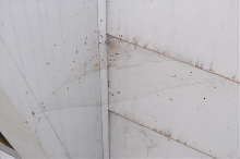 Tegeneria web