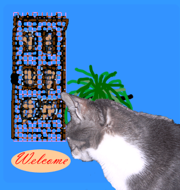 nerm turns