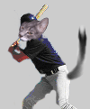 Nermal at Bat