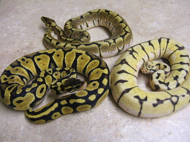 group pic
