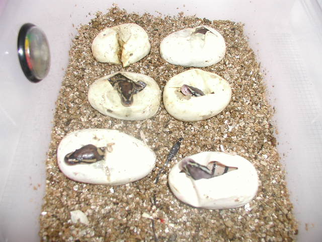 Group