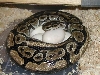 Striped Female on Eggs