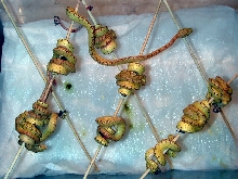 Sorong hatchlings