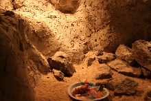 collards and geckos