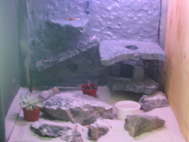 Left side