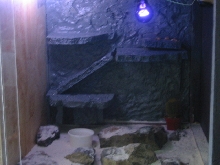 Right side