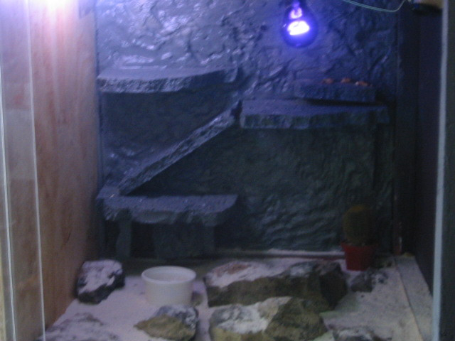 Right side