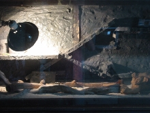Uromastic cage