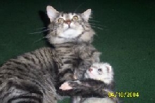 Sid and Mou Hug