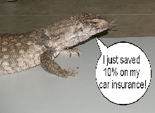 Monitor vs Gecko