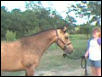 Cheyenne with her human (my daughter Ashley)