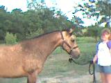 Cheyenne with her human (my daughter Ashley)