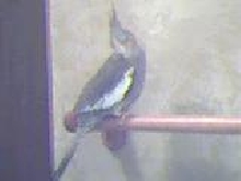 another pic of Twiggy
