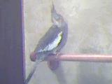 another pic of Twiggy