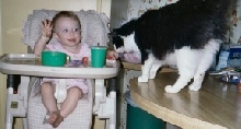 Katelyn feeding Al