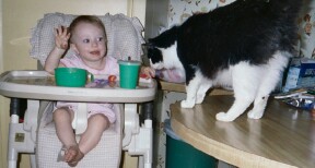 Katelyn feeding Al