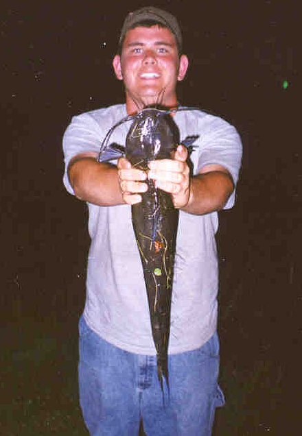 Catfish