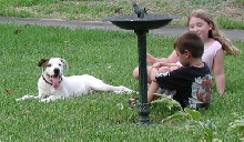 my buddies