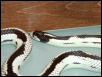 reverse kingsnake