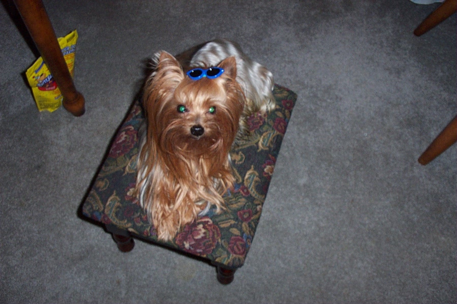 SAMSON