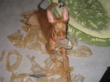 Bag 2