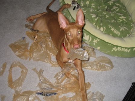 Bag 2