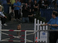 Debbie & Fatima jump