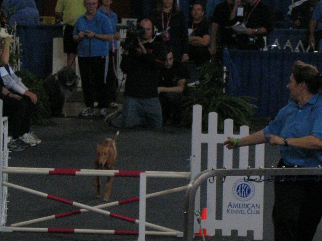 Debbie & Fatima jump