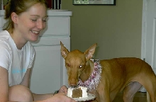 Eating Cake