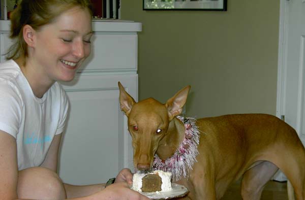 Eating Cake