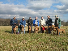 New Years Lure Coursing
