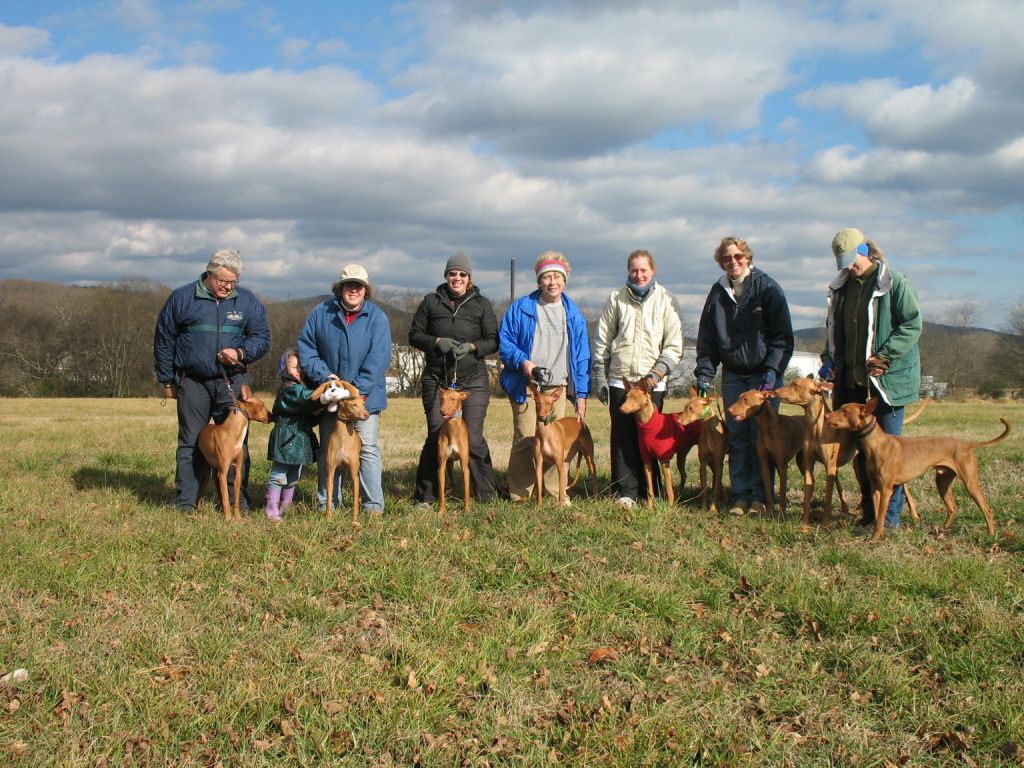 New Years Lure Coursing