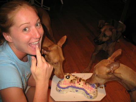 Licking Cake