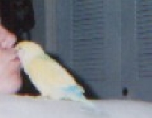 Liko giving kisses