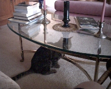 Andre under glass