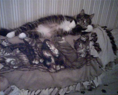 Annie. sweetheart