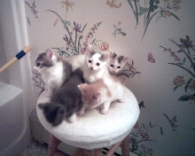 All 5 German babies