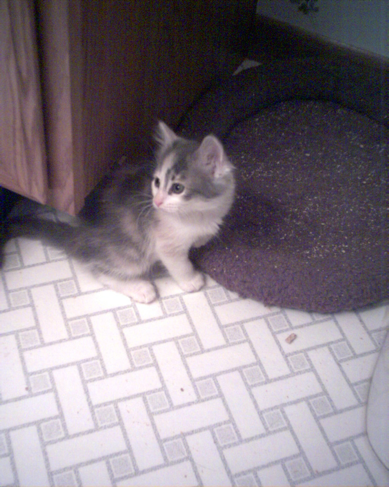 Heidi again