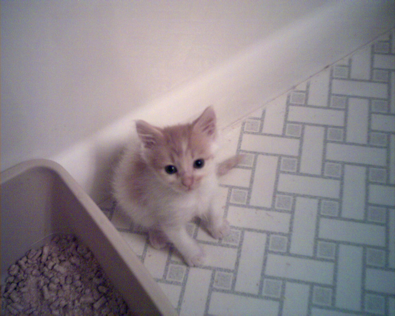 And Fritzie again