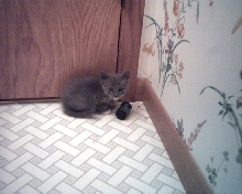 Little Greta