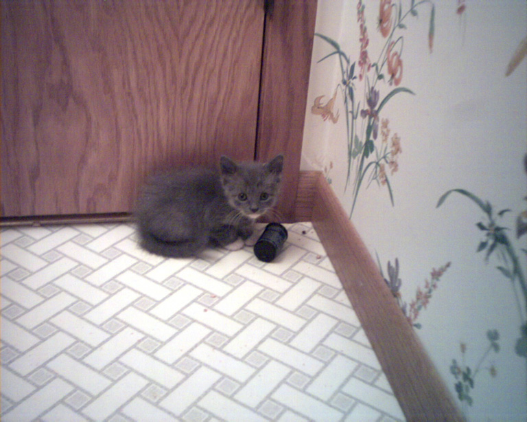Little Greta