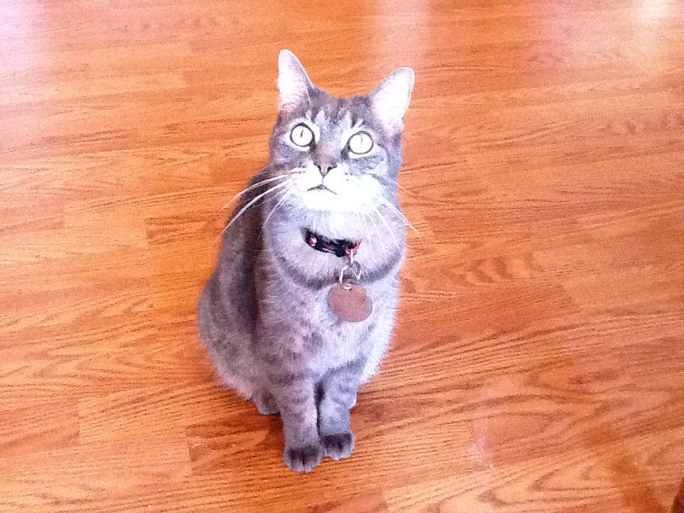Henri