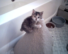 Maija again