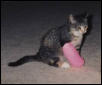 Minette as baby with huge cast on leg