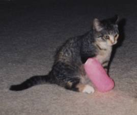 Minette as baby with huge cast on leg