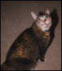 Minette--BIG eyes