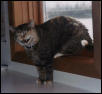 Minette's scarey face!